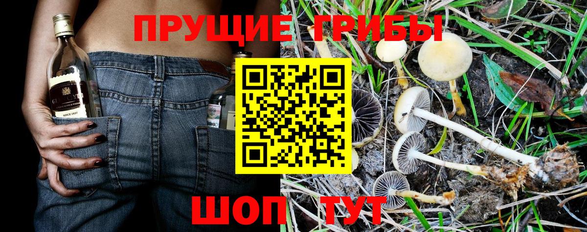 Галлюциногенные грибы мухоморы  Псилоцибиновые грибы мухоморы  Вход с VPN  Красногорск 